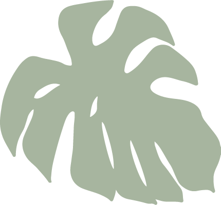 ilustraciones hojas verdes