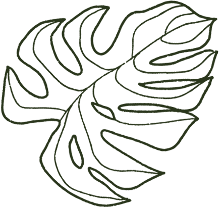 ilustraciones hojas verdes