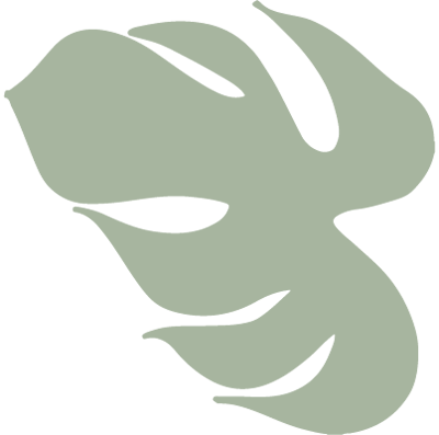 ilustraciones hojas verdes