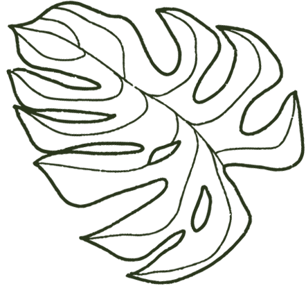 ilustraciones hojas verdes