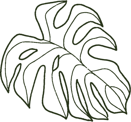 ilustraciones hojas verdes